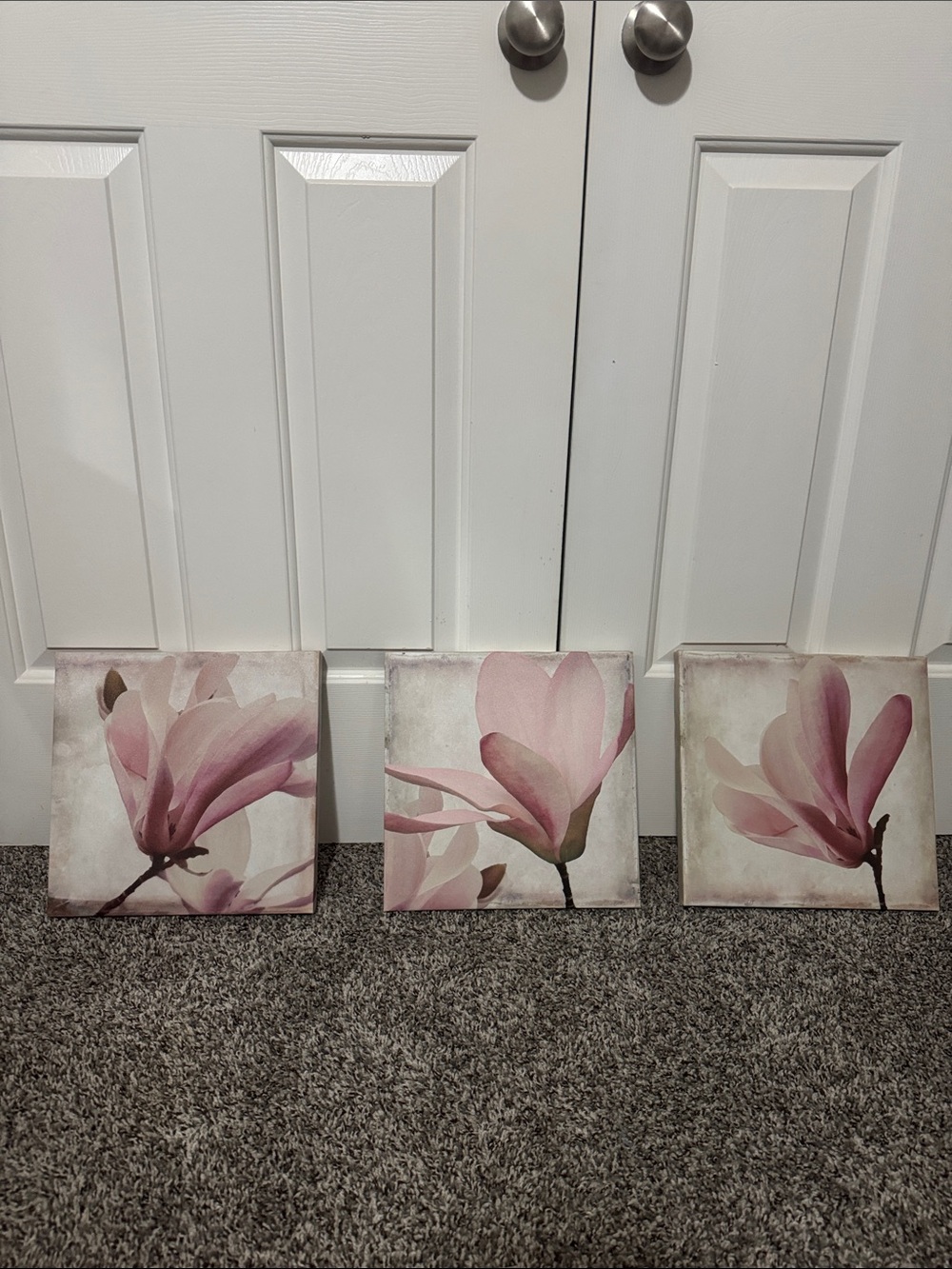 🌸 Set of 3 Pink Magnolia Floral Canvas Prints